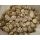 Shiitake mushroom powder,60-250mesh