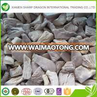 Wholesale cheap price bulk frozen fresh dried oyster mushroom