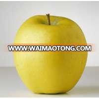 Factory cheapest golden apple fruit price