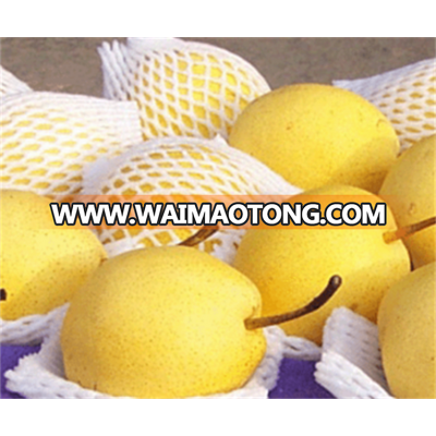 new products economical: fresh huangguan pear