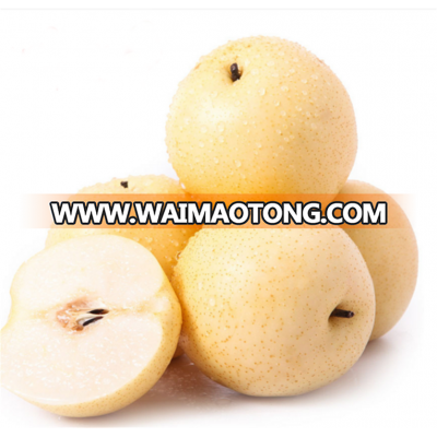 New Type certification appoved cheap fresh pears