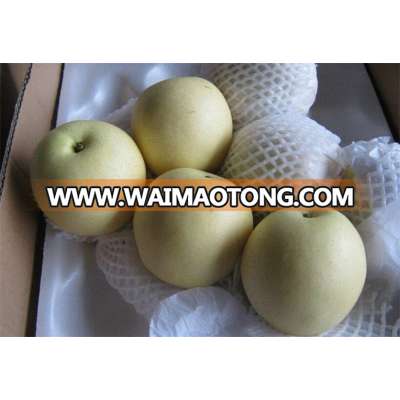 clear to mind china online shopping high quality fresh organic pears