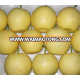 types of 2015 chinese fresh 2015 fresh shandong pear