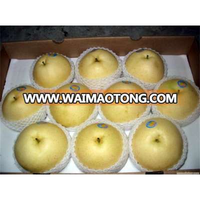 frozen fruits factory outlets fresh korla fragrant pears from xinjiang