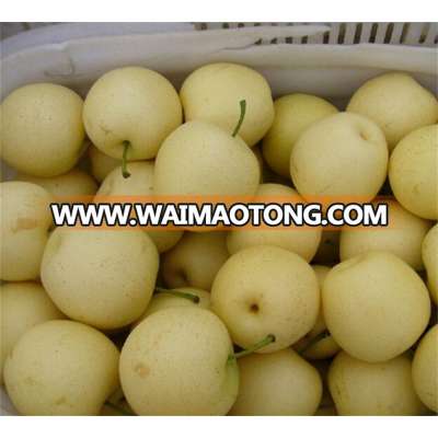 wholesale customize soft taste fresh pear