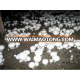 dependable big discount china supplier agaricus blaze mushroom