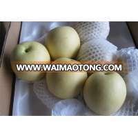 100% quality 2015 factory price fresh emerald pear