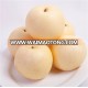 wholesale customize soft taste fresh fragrant pear from xinjiang