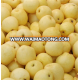 export price Professional supplier singo pear