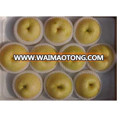 wholesale customize soft taste pear fresh