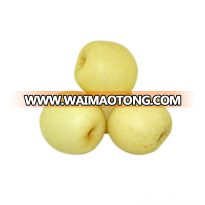 famous 2015 new fresh early mature su pear