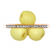 famous 2015 new fresh early mature su pear