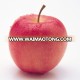 new crop red apple /huaniu apple (88/100/113/125) huaniu apple