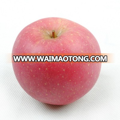 from shanxi province EX factory price fresh green apples organic green apples