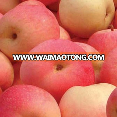 buying online in china lastest new products seasonal fruits