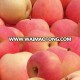 great selling Modern qinguan apple