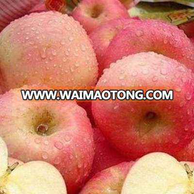 2015 newest 2015 bulk qinguan apples