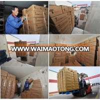 Waimaotong china with certification china fresh champignon mushroom