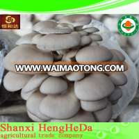 reasonable industrial mushroom export price