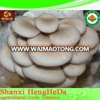 Waimaotong china with certification lion's mane mushroom extract bulk