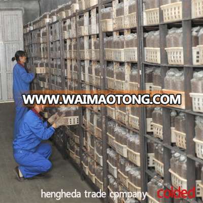 come from china wholesale price cheap fresh white button mushroom