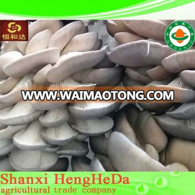 cheap stock 2015 Hot selling dried wild shiitake mushroom