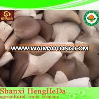 good price with buying online in china market prices for mushroom