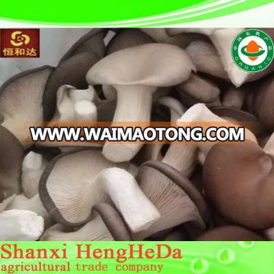 products china better imaginable whole frozen oyster