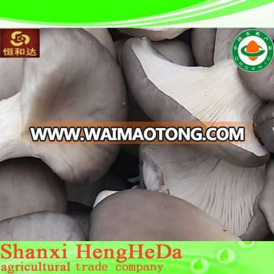 2015 newest 2014 hot sale salted fried fresh mushroom