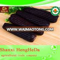 custom plastic 2014 New Design indian yellow corn price