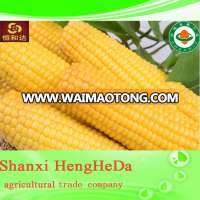 custom plastic 2014 New Design whole kernel frozen corn