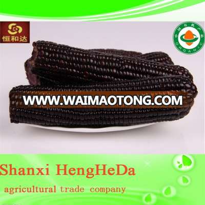 custom buying online in china frozen sweet corn for export