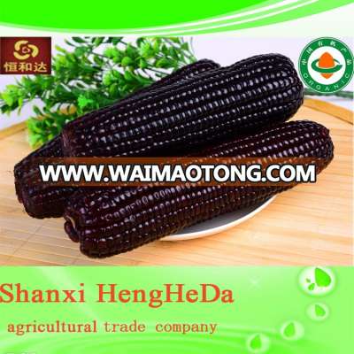 top sale animal feed additive corn gluten meal low price