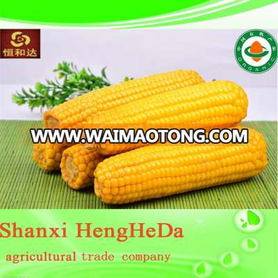 china supplier good style corn germ meal