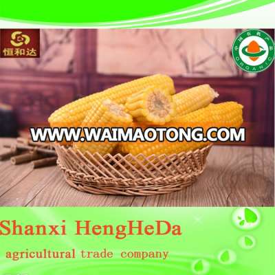 factory outlets buying online in china yellow corn