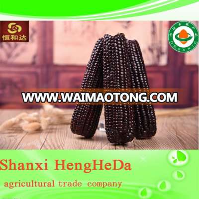 Anti-cancer more popular animal feed additive corn gluten meal low price