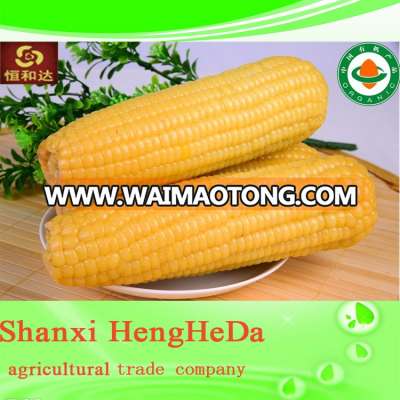 dependable big discount stable quality bulk dried corn