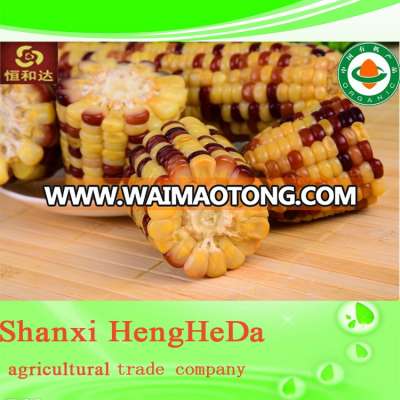 china online shopping classic non gmo yellow corn