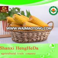 china online shopping cheap custom made brand canned sweet corn