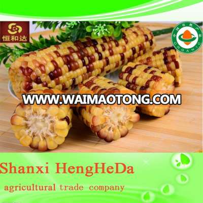 china market factory outlets china favorites compare sweety canned sweet corn with low price and good taste