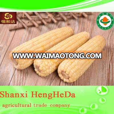 2015 chinese fresh cheap stock canned products blue riva brand