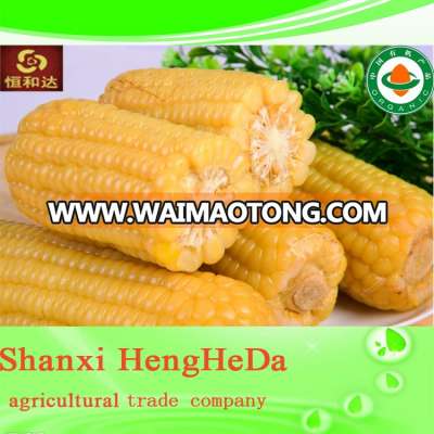 individual quick frozen wholesale royal canned sweet corns