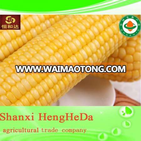 2015 newest New Type iqfpeas carrot sweet corn with good quality