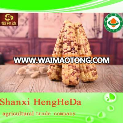 good delicious types of fresh yellow corn maize price