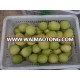 Fresh Shandong Pear