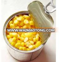 canned sweet corn