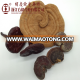 Dried ganoderma lucidum/reishi mushroom; many kinds of mushrooms and mushroom powder/extract