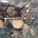 Dried Magic Mushroom Export Price