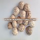 Dried Milky Mushroom Price