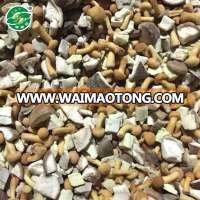 High-quality typical taste wholesale mushroom prices from china